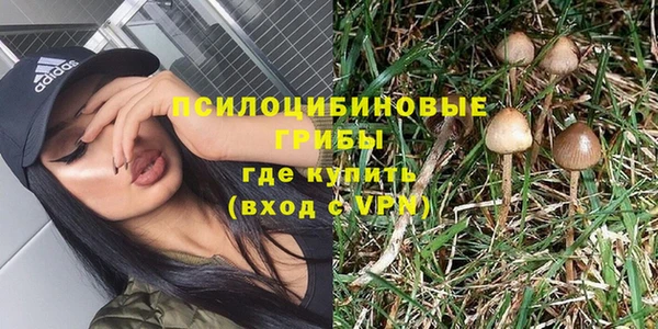 амфетамин Алексеевка