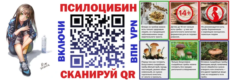 Псилоцибиновые грибы мицелий  Жигулёвск 
